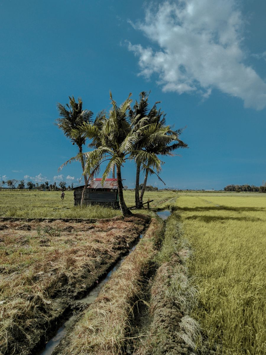 A little land. Endless possibility. — illustrative property photo